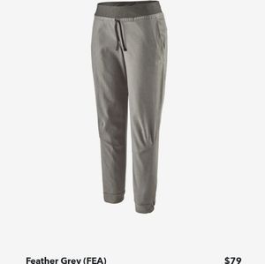 Patagonia Hampi Rock Pants